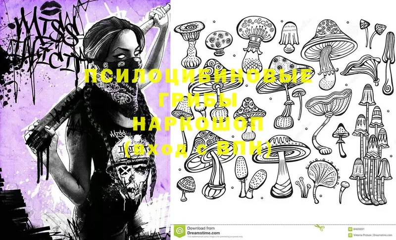 Галлюциногенные грибы MAGIC MUSHROOMS  где купить   Армянск 